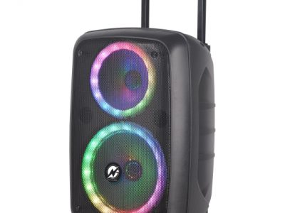 N-Gear FLASH860 8” Portable Speaker LED/USB/BT