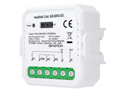 GBC HeyRele Dry Contact Smart WiFi Module